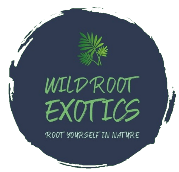 Wild Root Exotics